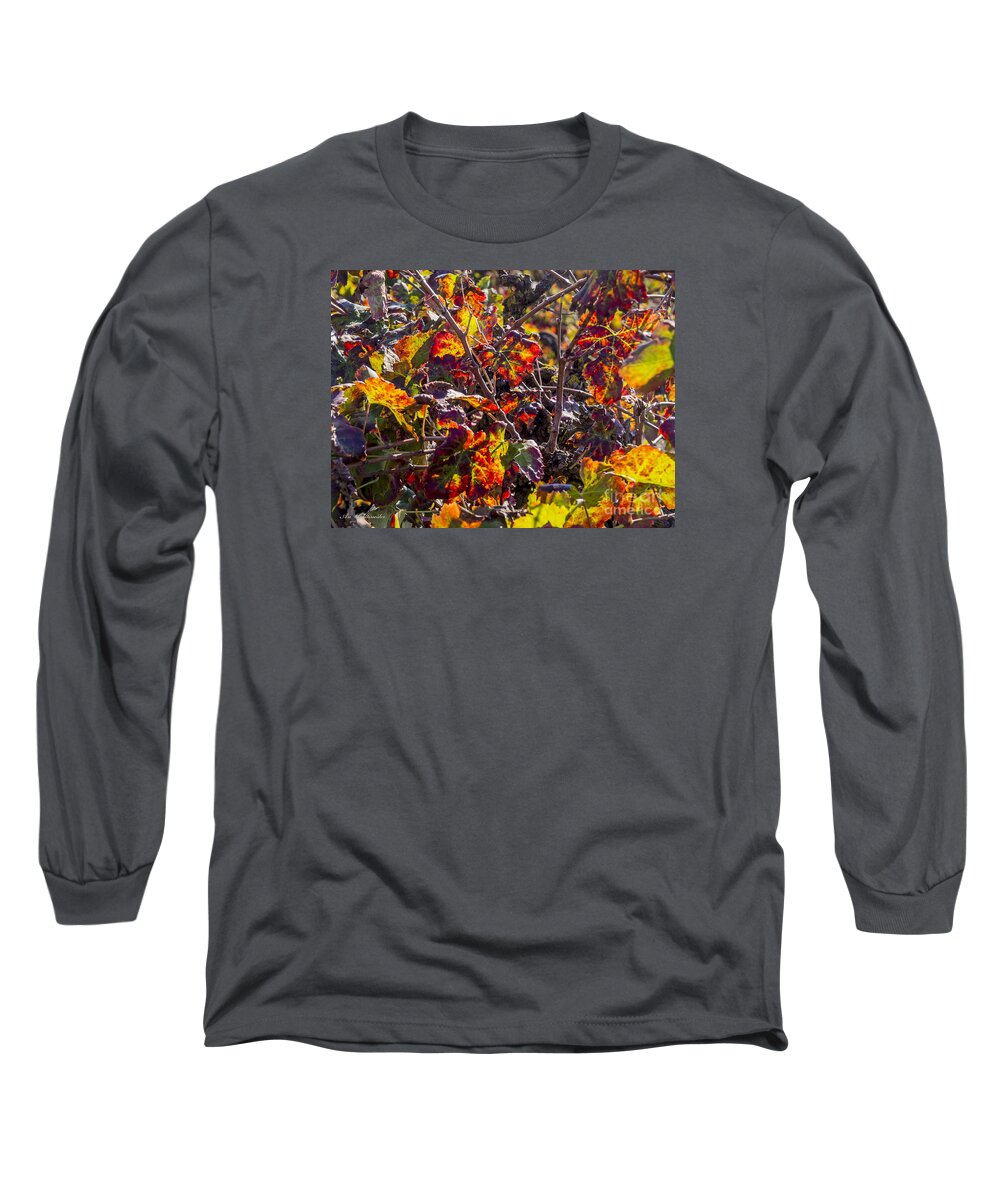 Autumn Long Sleeve T-Shirt featuring the photograph Hot autumn colors in the vineyard 03 by Arik Baltinester
