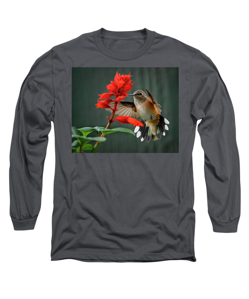 Hummingbird Long Sleeve T-Shirt featuring the photograph Hummingbird and Flowers by David Soldano