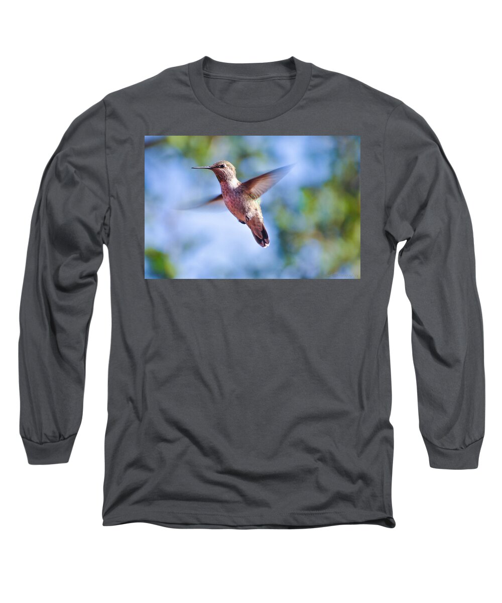 Hummingbirds Long Sleeve T-Shirt featuring the photograph Hummingbird in Flight by Wendy Carrington