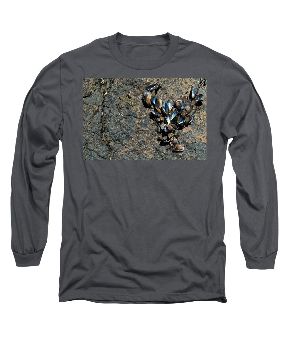 Maine Long Sleeve T-Shirt featuring the photograph I Love Maine by Holly Ross