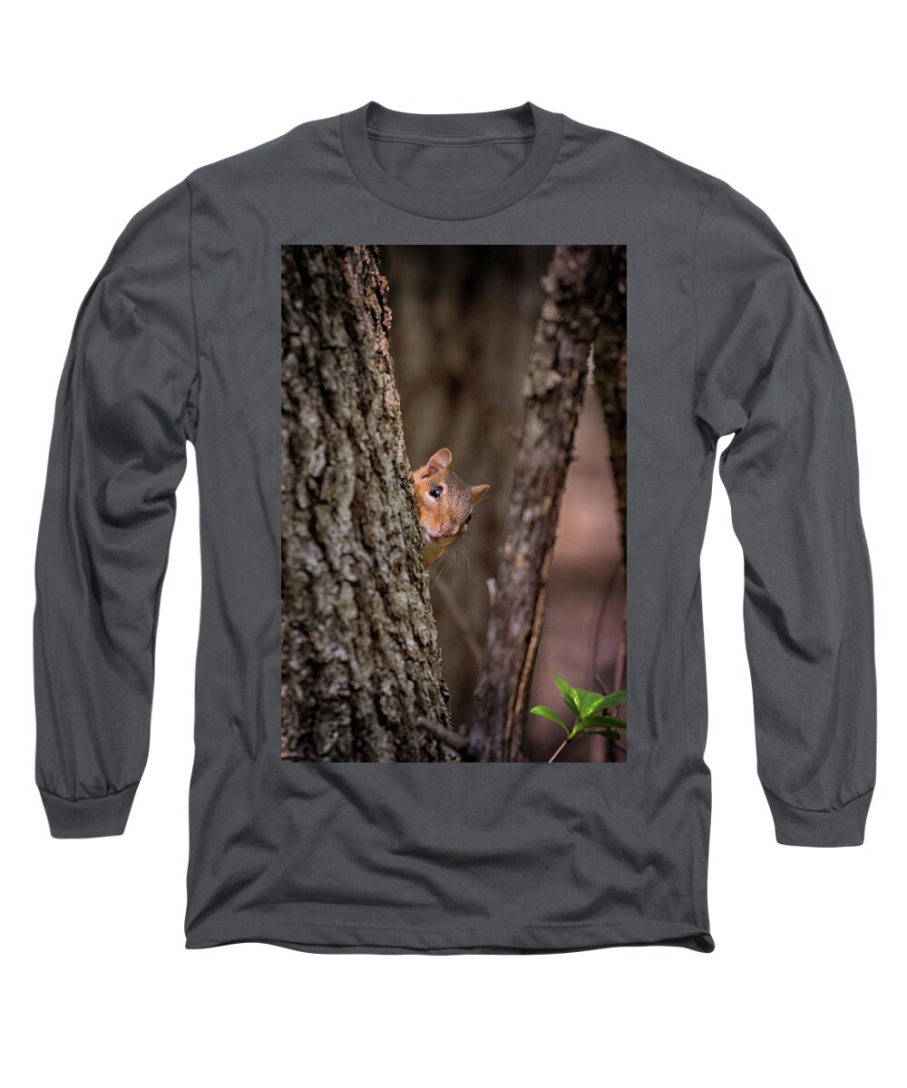 Squirrel Long Sleeve T-Shirt featuring the photograph I See You by Susan Rissi Tregoning