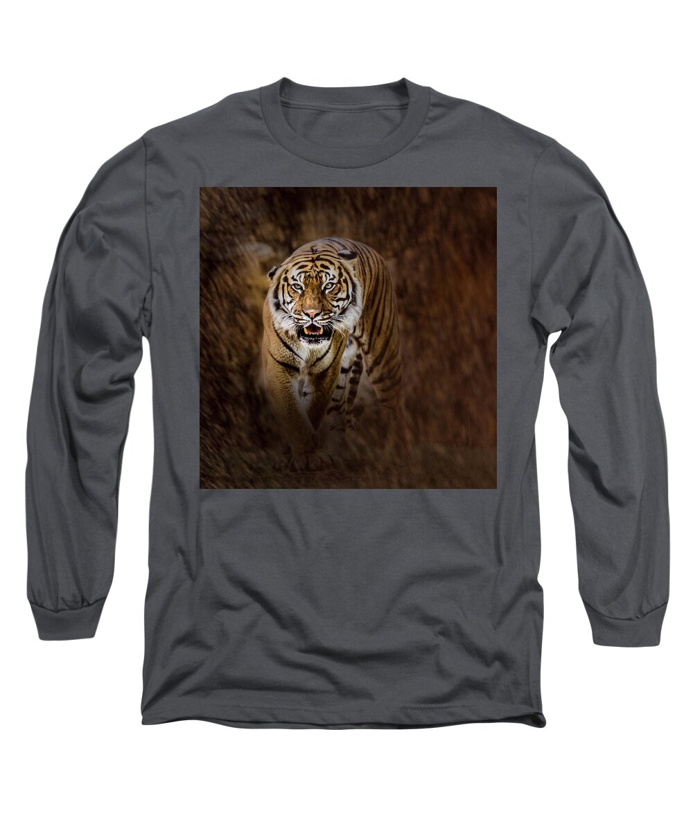 Panthera Tigris Tigris Long Sleeve T-Shirt featuring the photograph I'm Coming For You by Annette Hugen