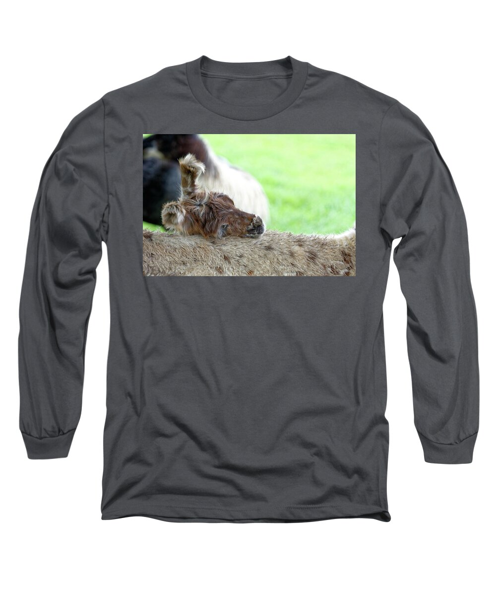 Lama Long Sleeve T-Shirt featuring the photograph I'm tired by Peter Ponzio