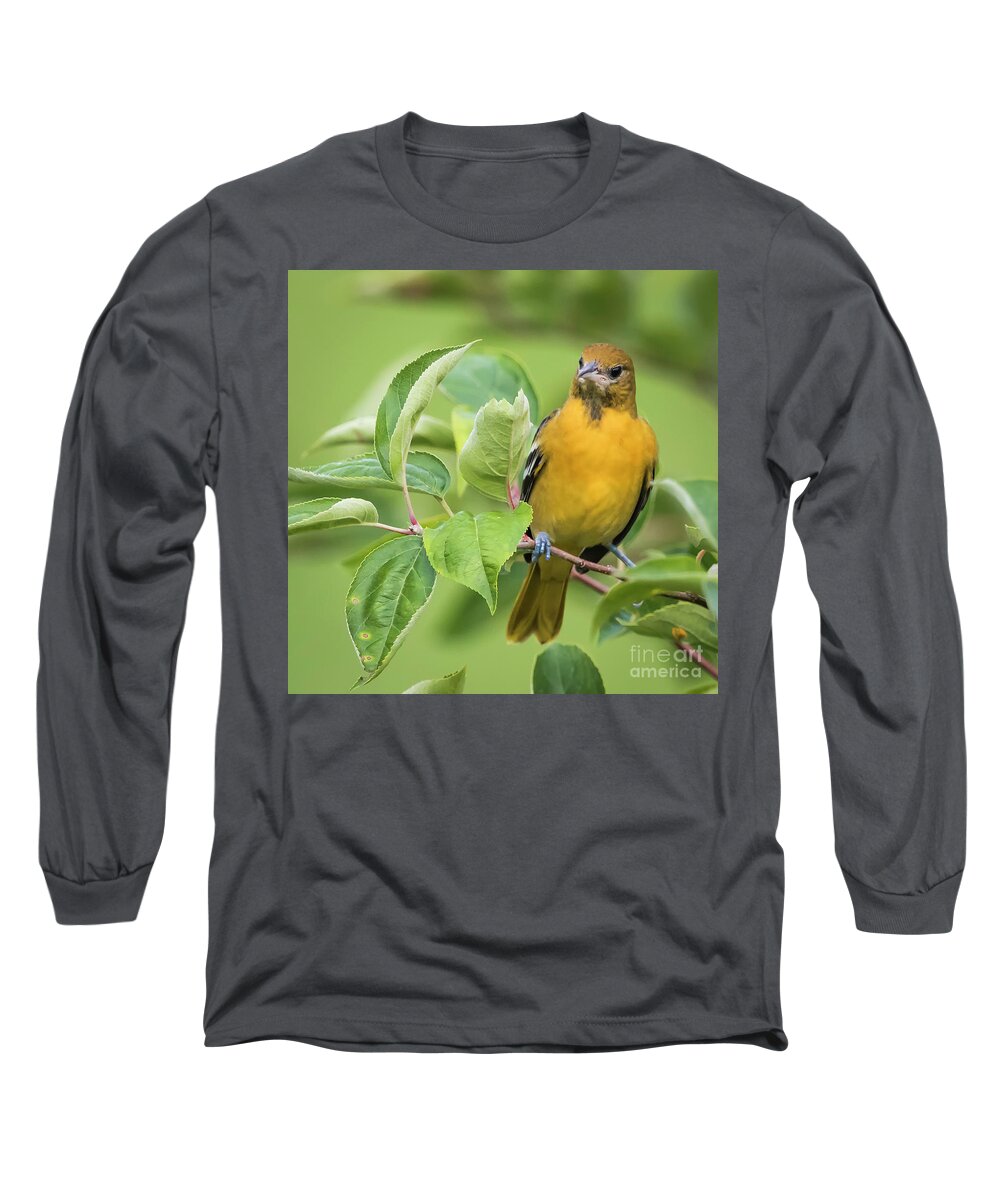 Canon Long Sleeve T-Shirt featuring the photograph Immature Baltimore Oriole by Ricky L Jones