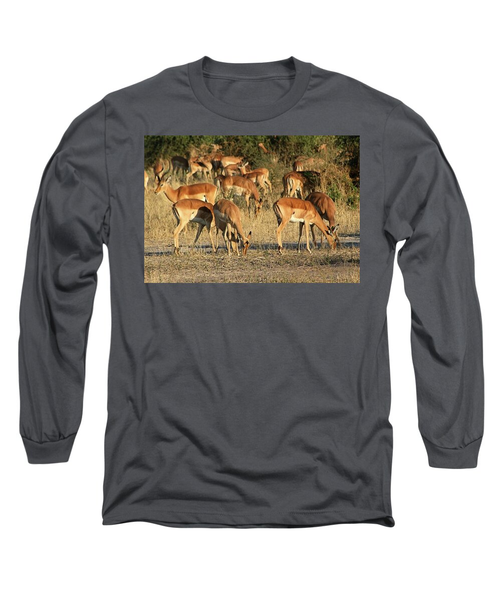 Impala Long Sleeve T-Shirt featuring the photograph Impala by Jennifer Wheatley Wolf