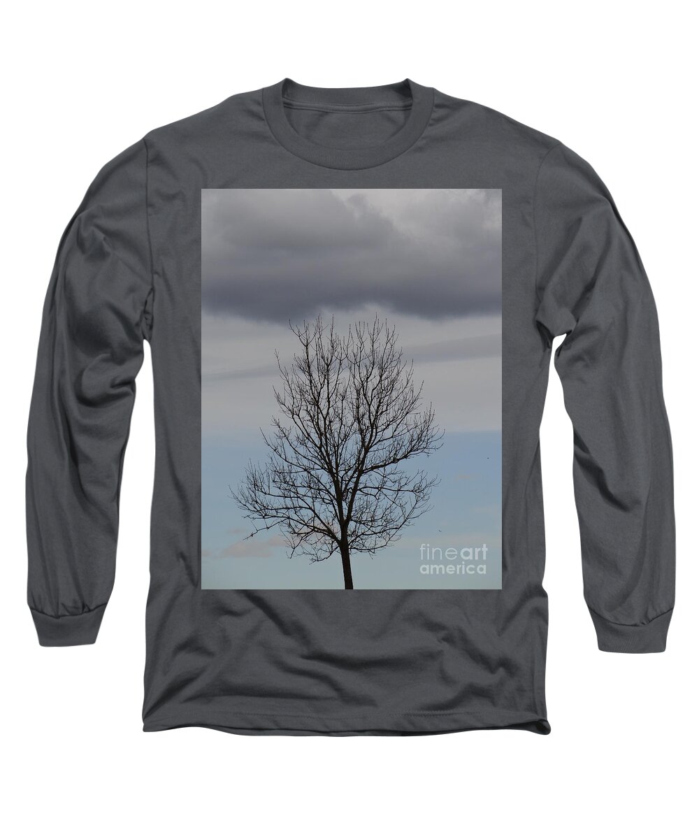 Tree Long Sleeve T-Shirt featuring the photograph In between by Karin Ravasio
