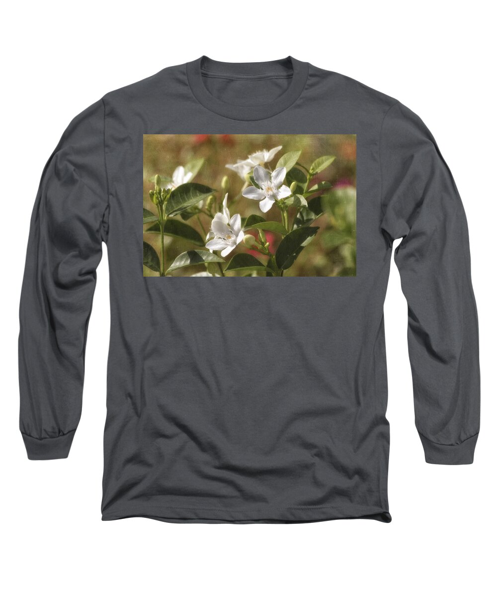 White Flowers Long Sleeve T-Shirt featuring the photograph In Love by Kim Hojnacki