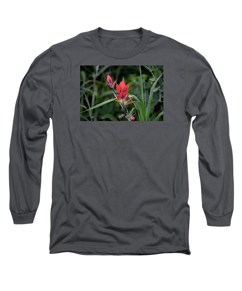 Indian Paintbrush Long Sleeve T-Shirt featuring the photograph Indian Paintbrush by Michael Brungardt