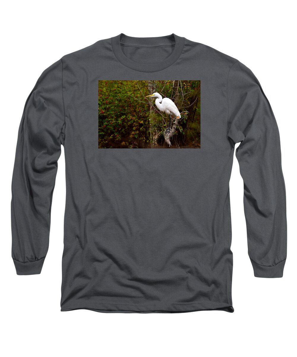 Heron Long Sleeve T-Shirt featuring the photograph Intense by Jamie Pattison