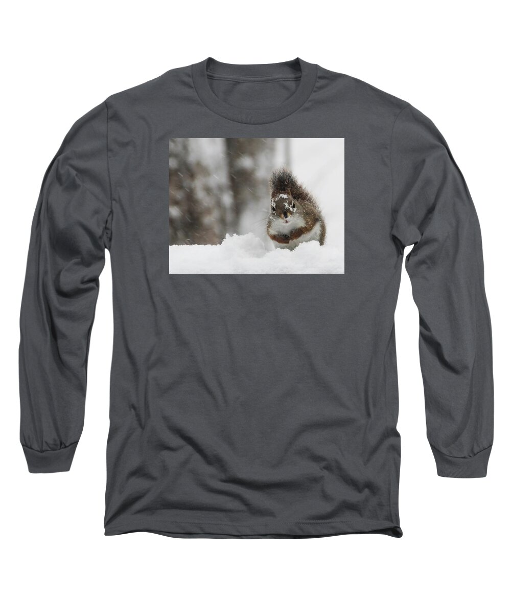Red Squirrel Long Sleeve T-Shirt featuring the photograph It is cold out here by Vance Bell