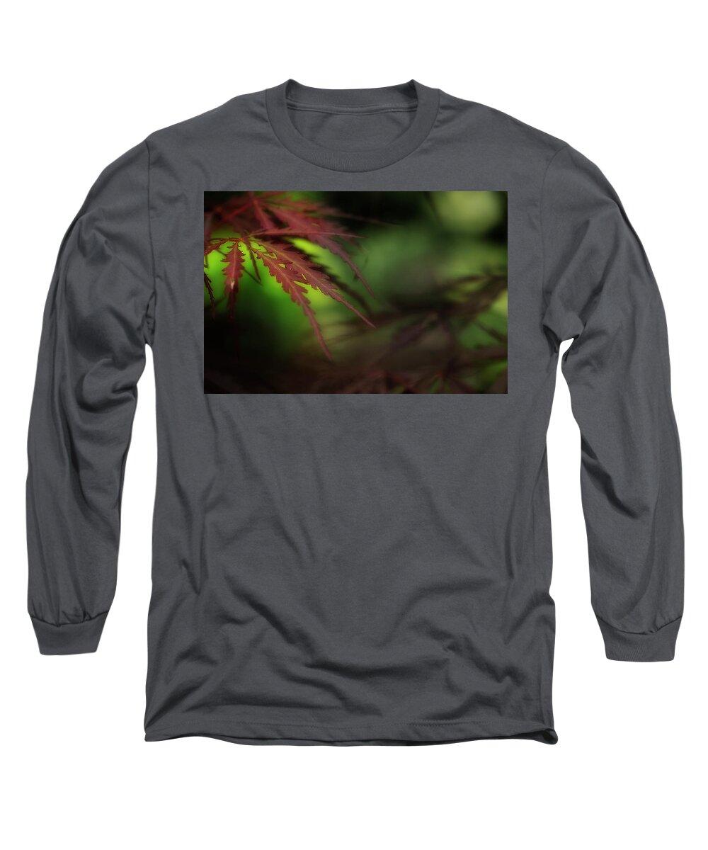 Leaves Long Sleeve T-Shirt featuring the photograph Japanese Maple by Mike Eingle