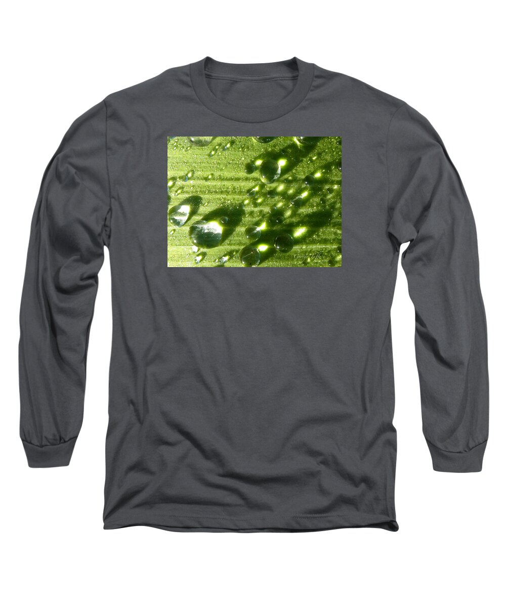 Water Drops Iris Leaf Sun Light Jewel Sparkling Garden Long Sleeve T-Shirt featuring the photograph Jewels by George Tuffy