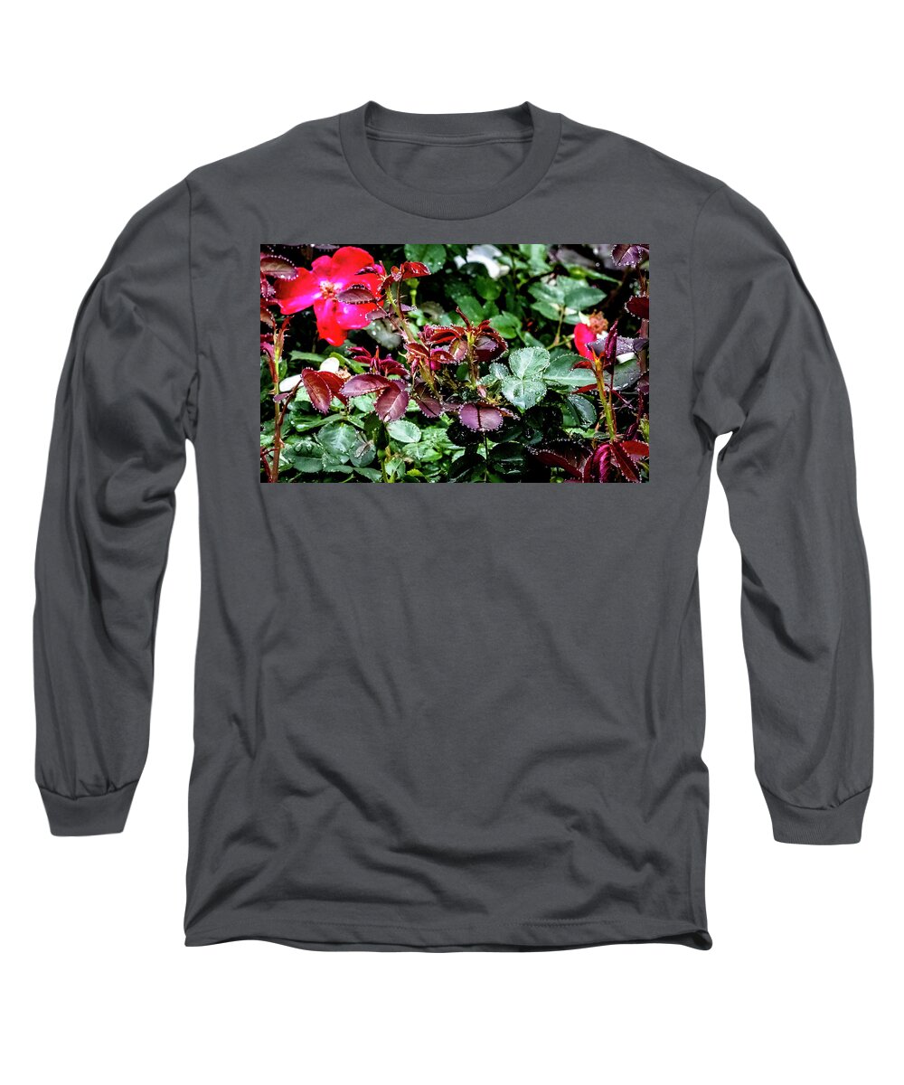 Raindrops Long Sleeve T-Shirt featuring the digital art Jewels of the Rain by Ed Stines