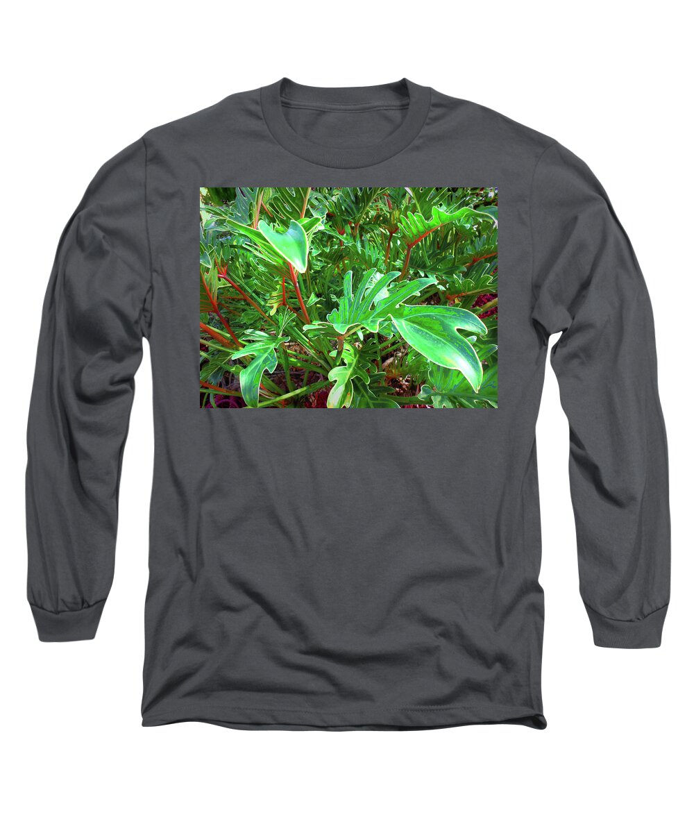 Digital Long Sleeve T-Shirt featuring the photograph Jungle Greenery by Ginny Schmidt