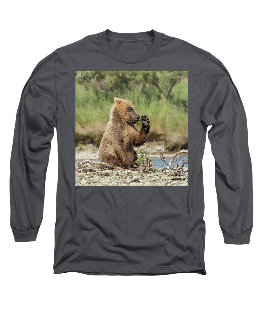 Alaska Long Sleeve T-Shirt featuring the photograph Just a Little Fiber by Cheryl Strahl