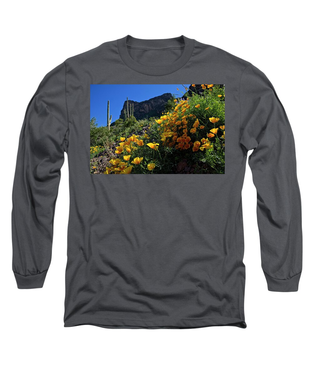 Arizona Long Sleeve T-Shirt featuring the photograph Just A Little Sunshine by Lucinda Walter