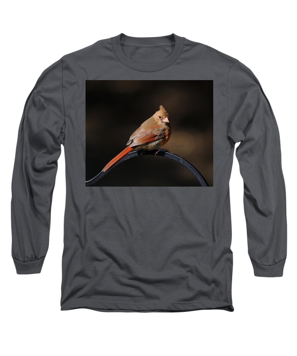Juvenile Male Cardinal Long Sleeve T-Shirt featuring the photograph Juvenile Male Cardinal by Diane Giurco