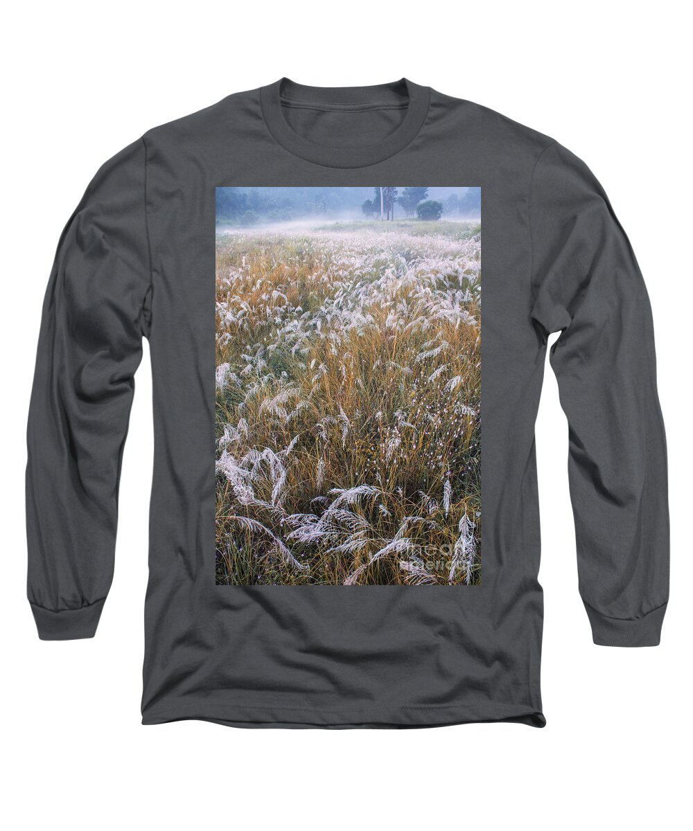 Kans Long Sleeve T-Shirt featuring the photograph Kans grass in mist by Hitendra SINKAR