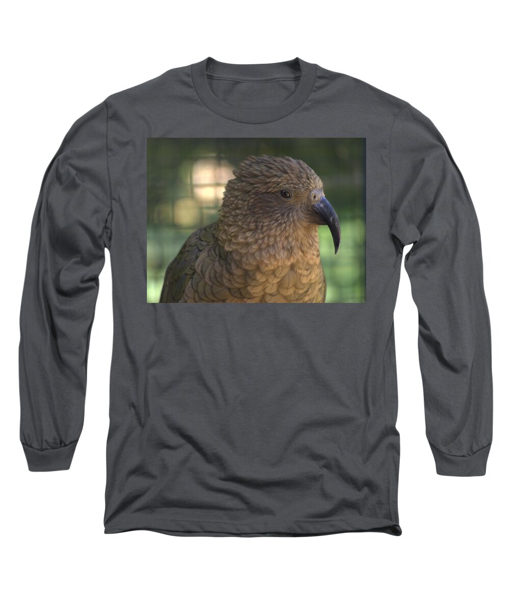 Bird Long Sleeve T-Shirt featuring the photograph Kea Nestor notabilis by Nathan Abbott