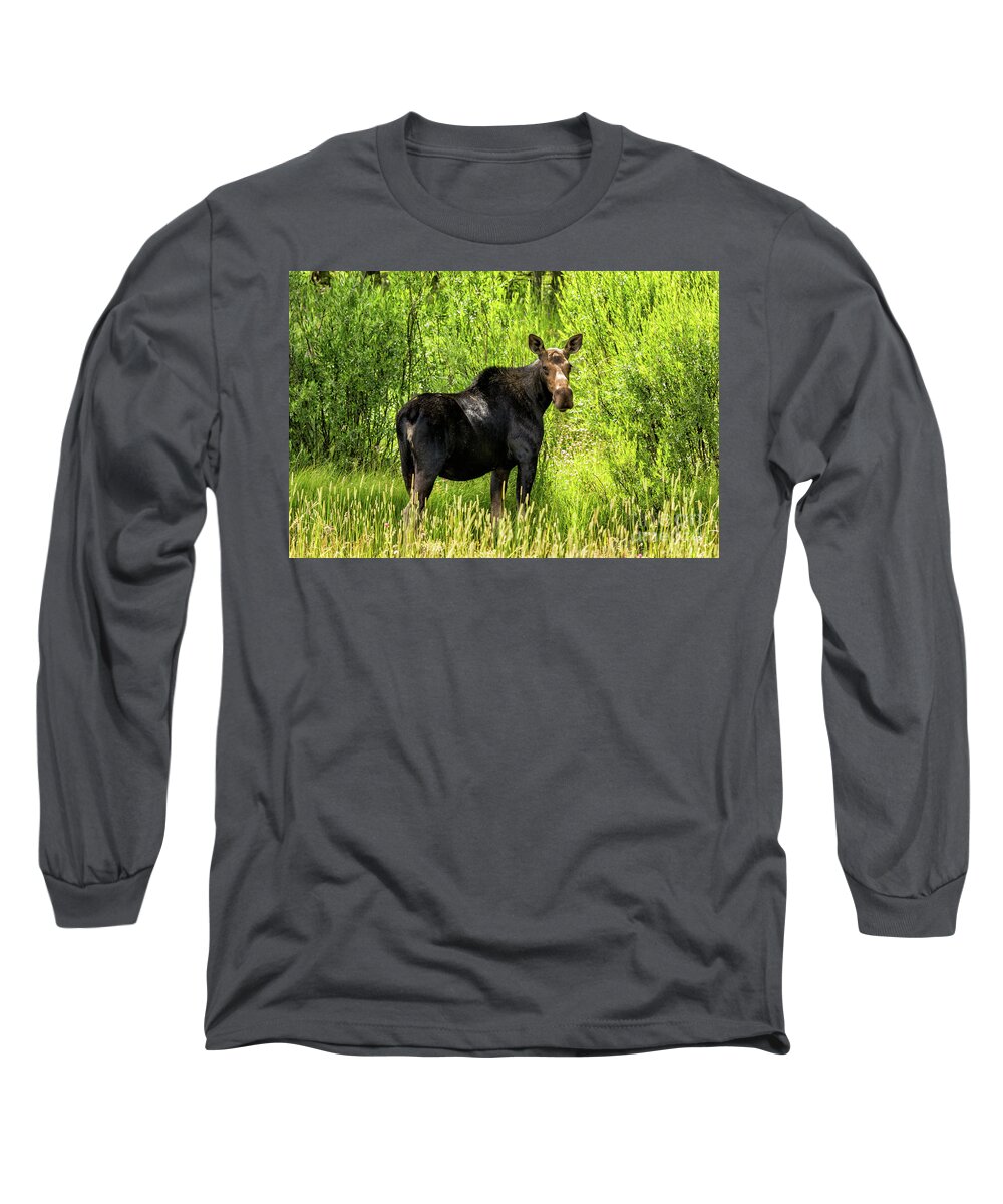 2016 Long Sleeve T-Shirt featuring the photograph Keep Your Distance wildlife art by Kaylyn Franks by Kaylyn Franks