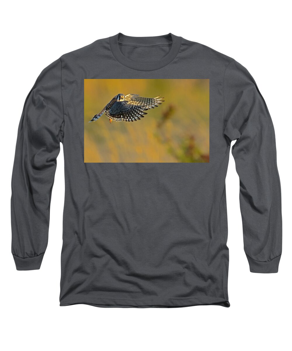 Kestrel Long Sleeve T-Shirt featuring the photograph Kestrel Takes Flight by William Jobes