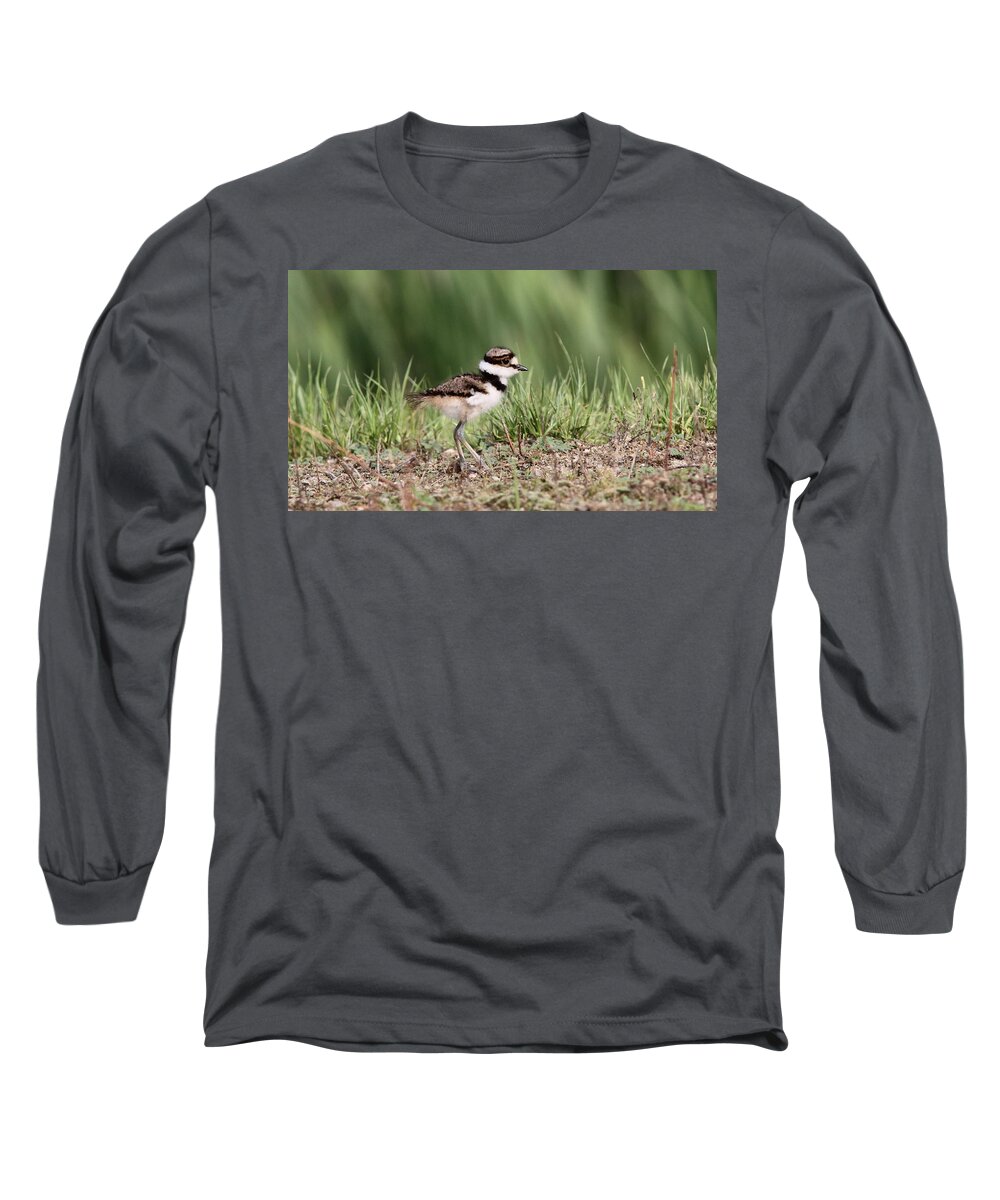 Nature Long Sleeve T-Shirt featuring the photograph Killdeer - 24 Hours Old by Travis Truelove