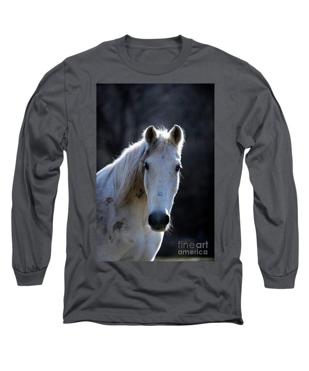 Rosemary Farm Long Sleeve T-Shirt featuring the photograph Kismet by Carien Schippers