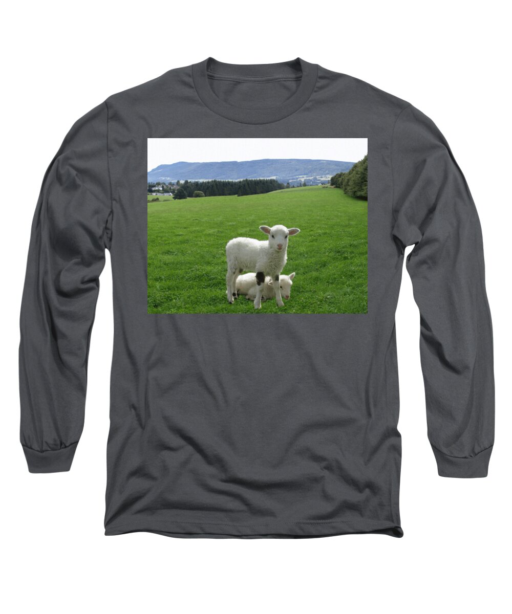 Lamb Long Sleeve T-Shirt featuring the digital art Lambs in Pasture by Dominic Yannarella