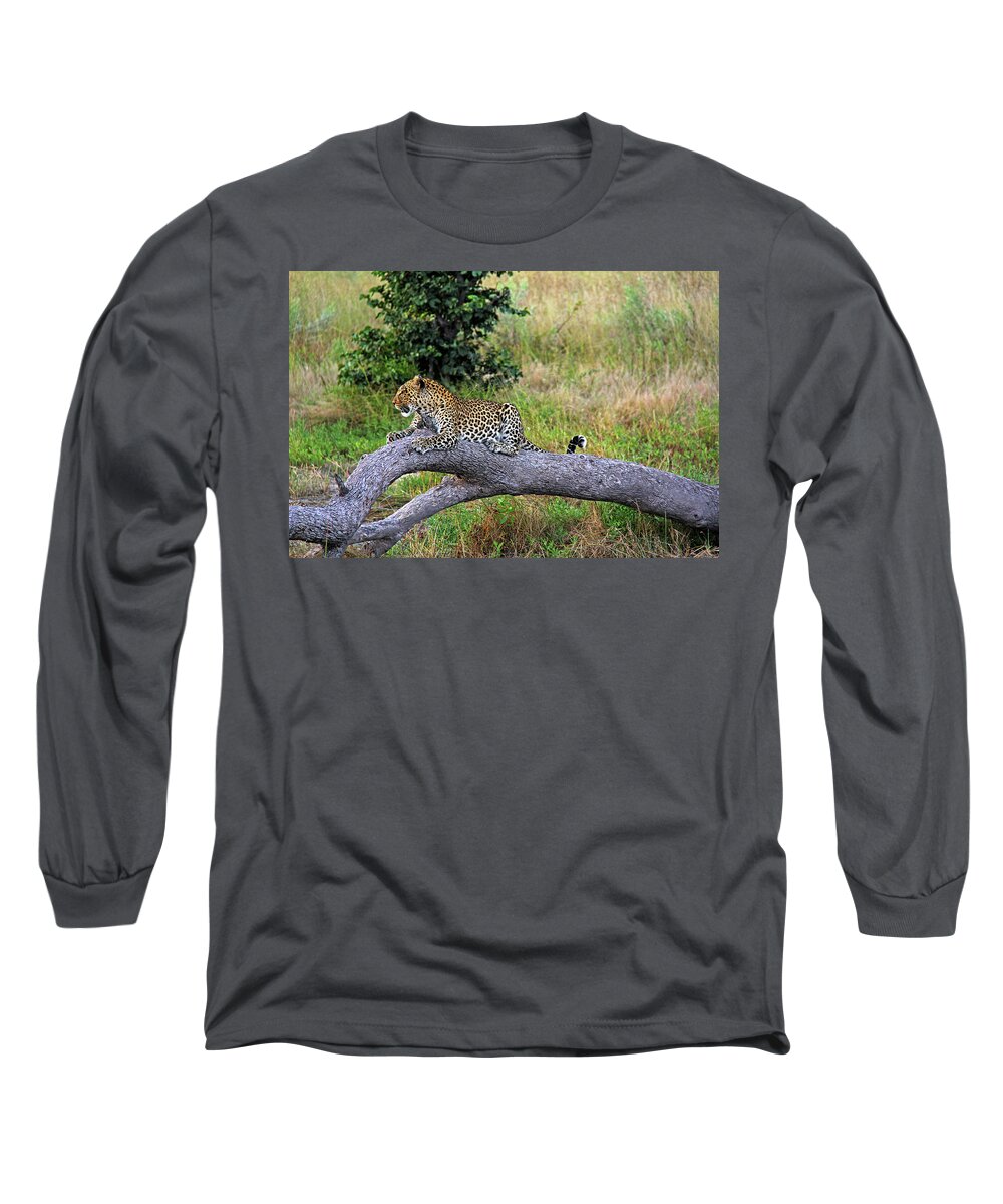 Leopard Long Sleeve T-Shirt featuring the photograph Leopard - Botswana, Africa by Richard Krebs