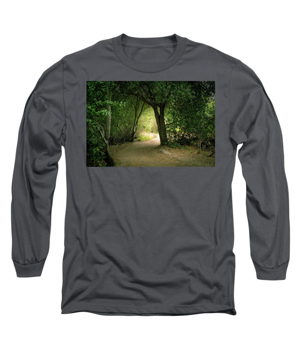 Trees Long Sleeve T-Shirt featuring the photograph Light Through The Tree Tunnel by Alison Frank