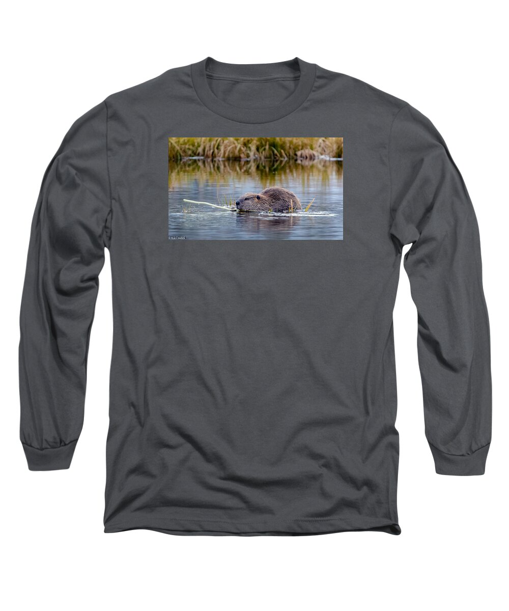Beaver Long Sleeve T-Shirt featuring the photograph Lily Lake Beaver II by Mike Ronnebeck