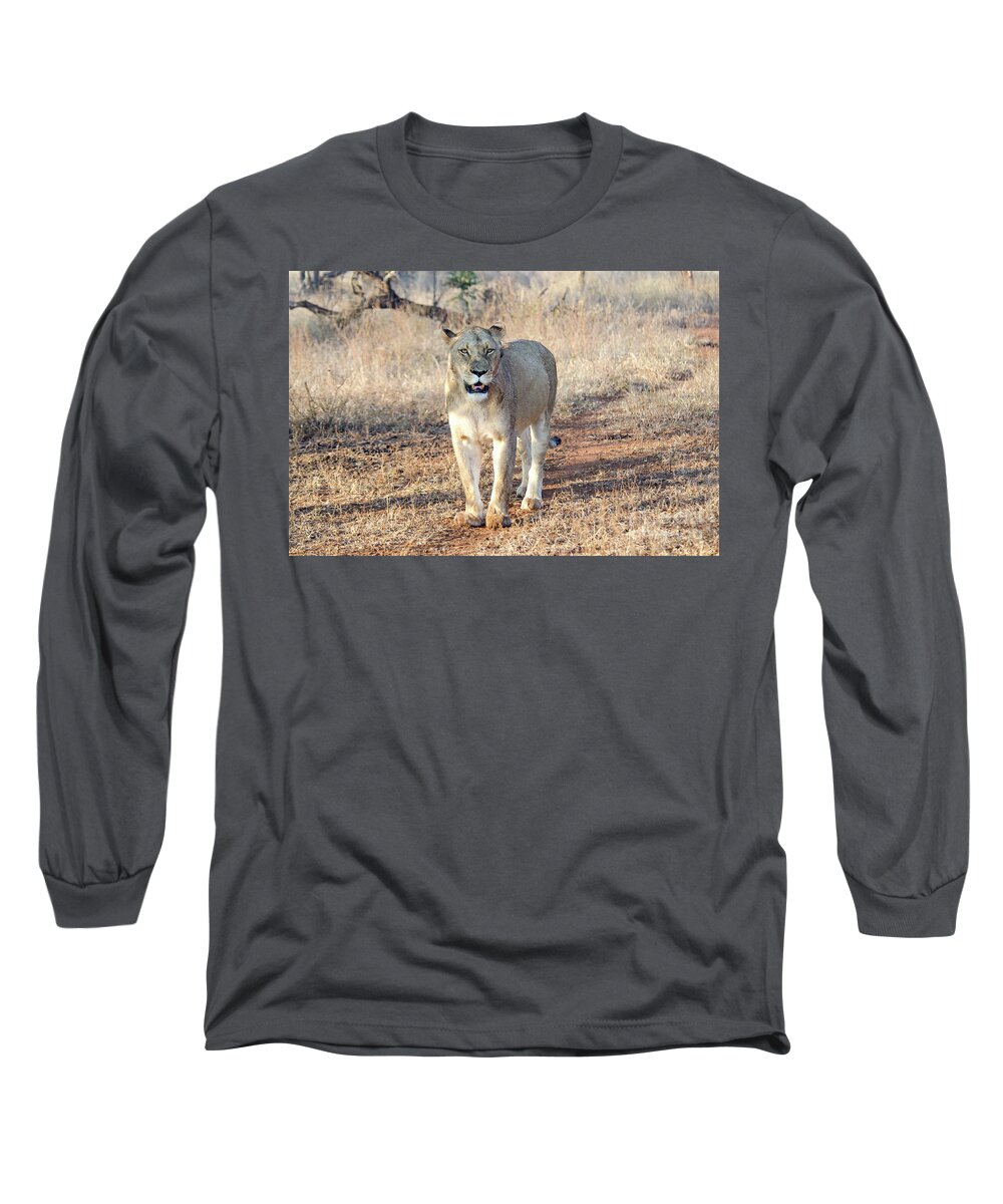 Lion Long Sleeve T-Shirt featuring the photograph Lioness in Kruger by Pravine Chester