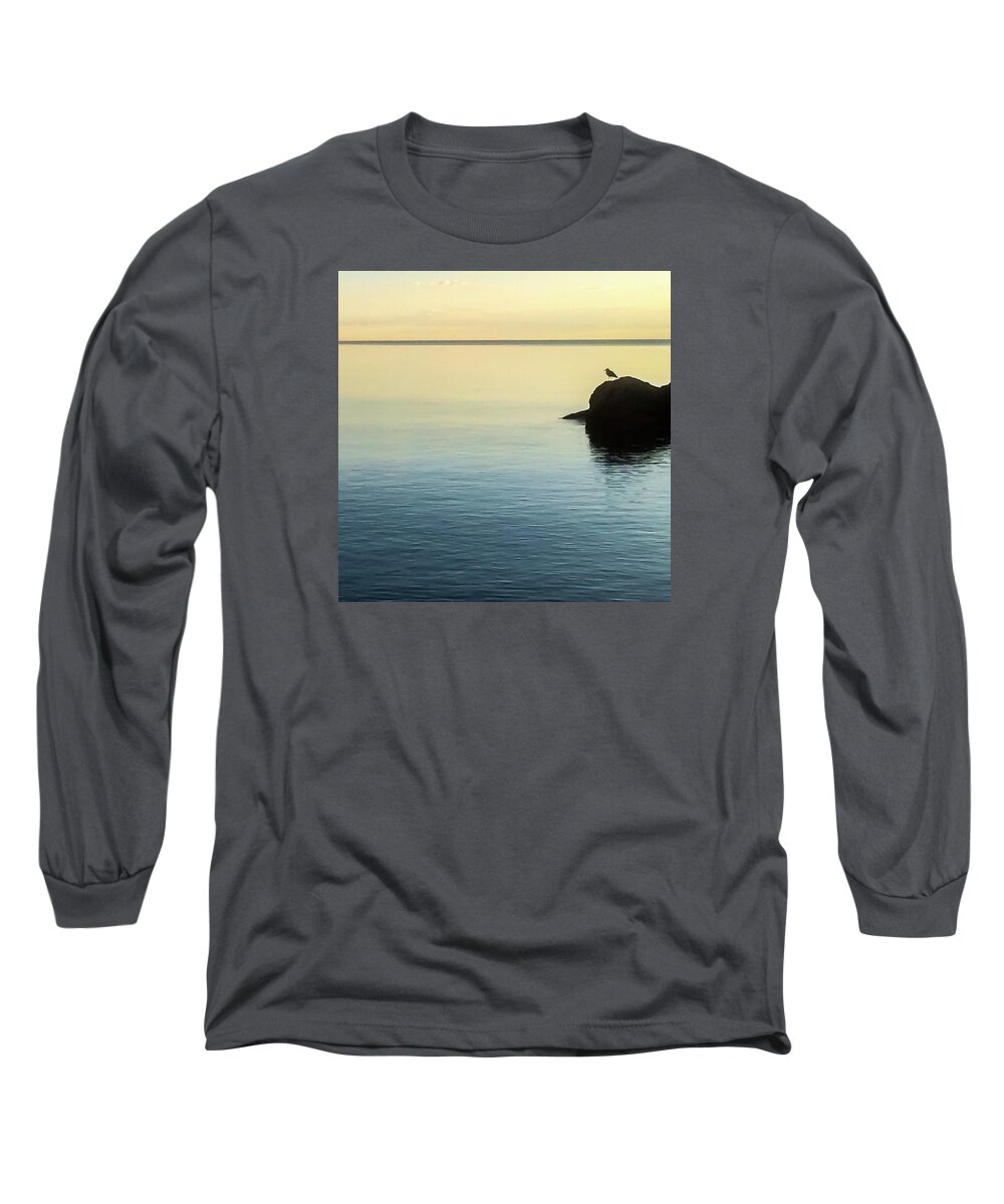 Sunrise Long Sleeve T-Shirt featuring the photograph Lone Gull by Terri Hart-Ellis