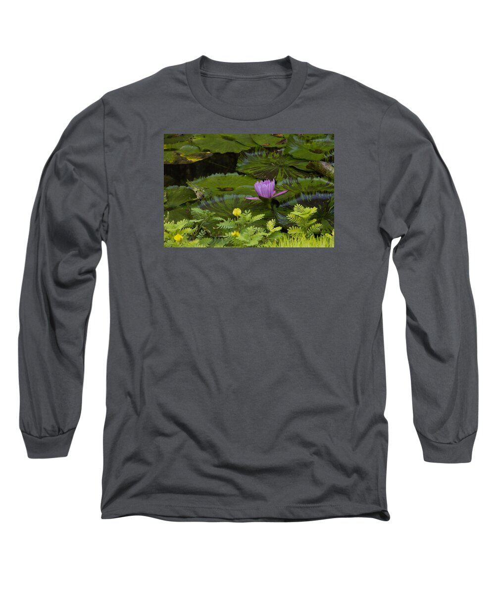 Water Lily Long Sleeve T-Shirt featuring the photograph Lone Lily by Nancy Dinsmore