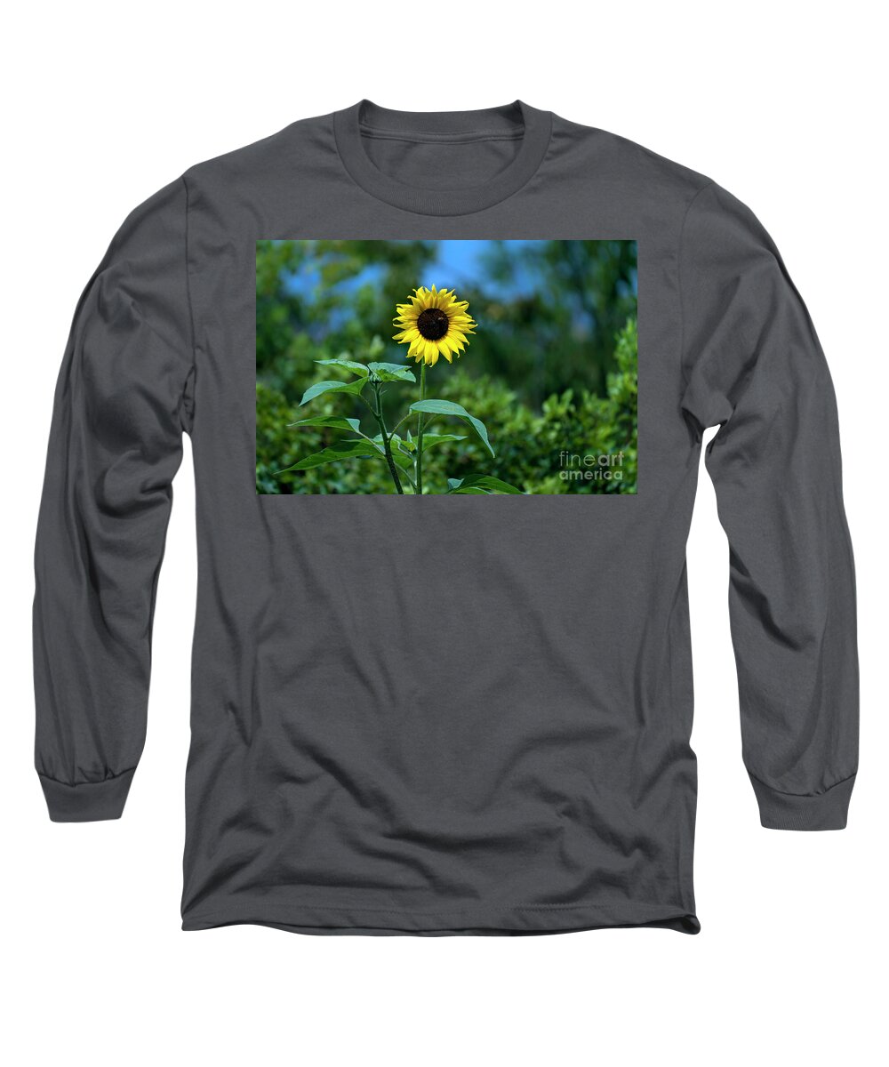 Sunflower Long Sleeve T-Shirt featuring the photograph Lone Sunflower by Sam Rino