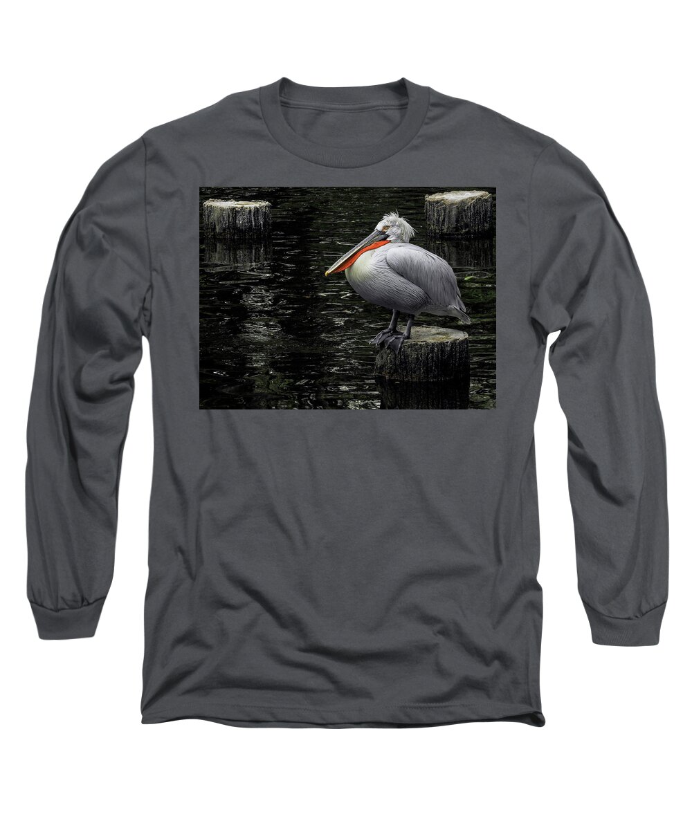 Lonely Long Sleeve T-Shirt featuring the photograph Lonely Pelican by Pradeep Raja Prints
