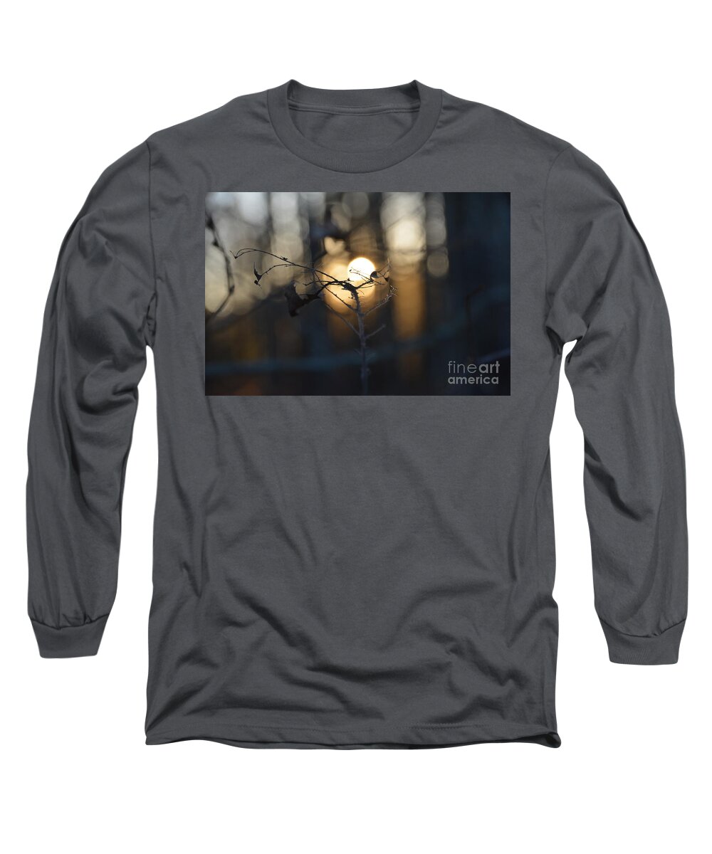 Adrian-deleon Long Sleeve T-Shirt featuring the photograph Lonely Tree Branch With Bokeh Love -Georgia by Adrian De Leon Art and Photography