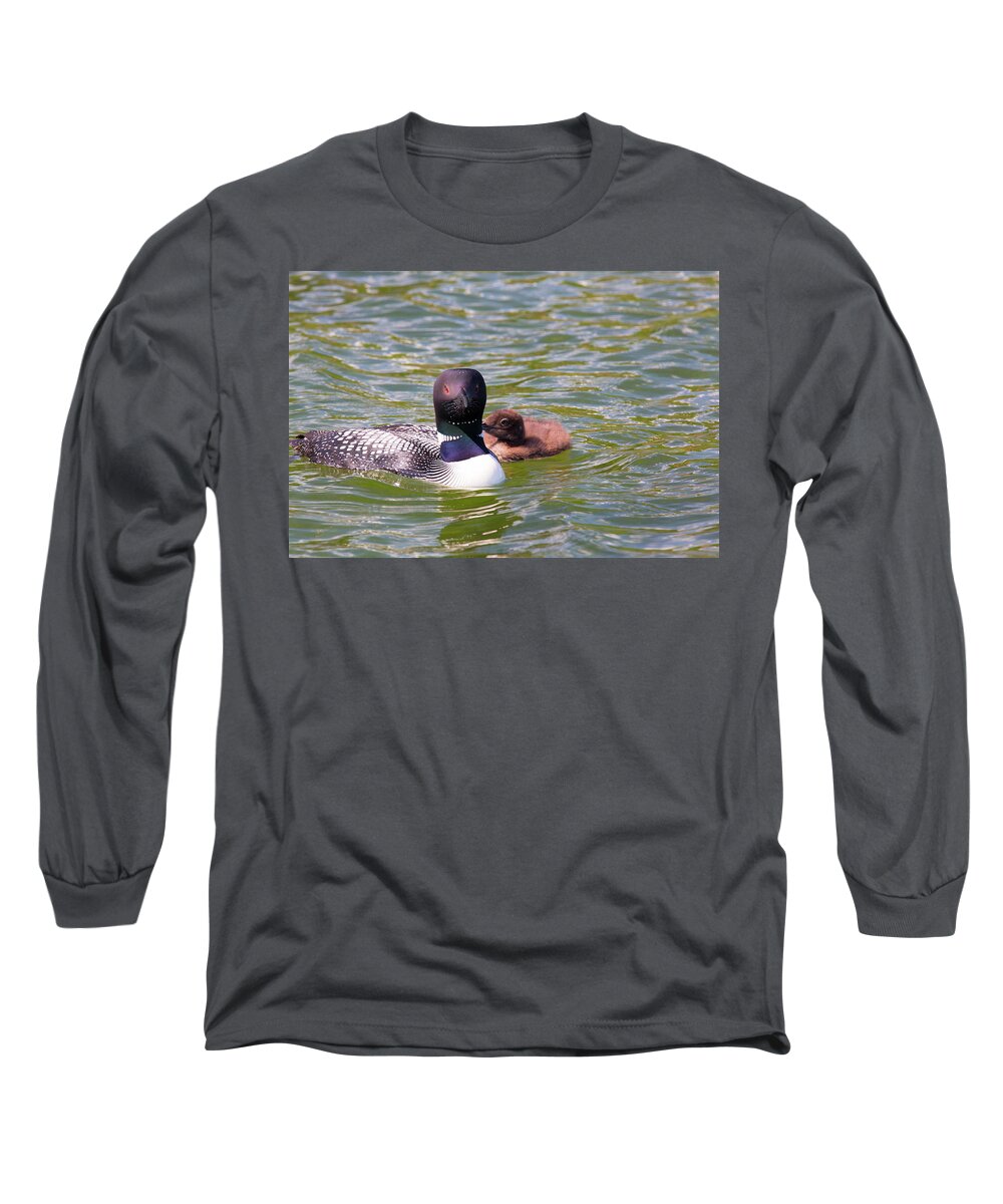 Loon Long Sleeve T-Shirt featuring the photograph Watchful Mom by Nancy Dunivin