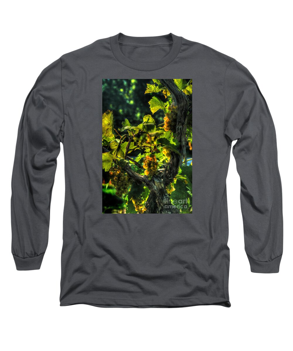 Lost Creek Chardonel Long Sleeve T-Shirt featuring the digital art Lost Creek Chardonel by William Fields
