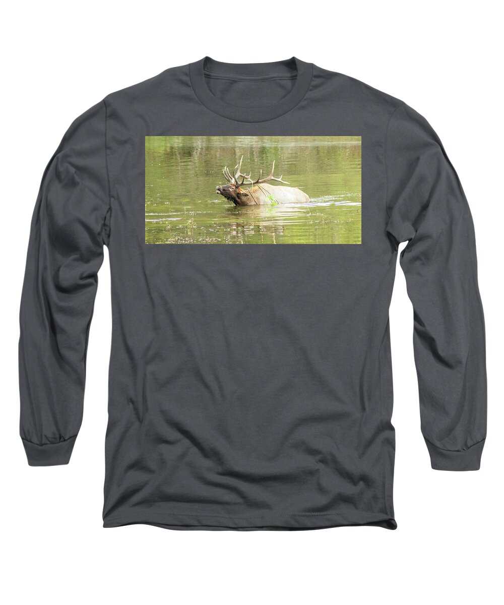 Elk Long Sleeve T-Shirt featuring the photograph Love Songs by Holly Ross
