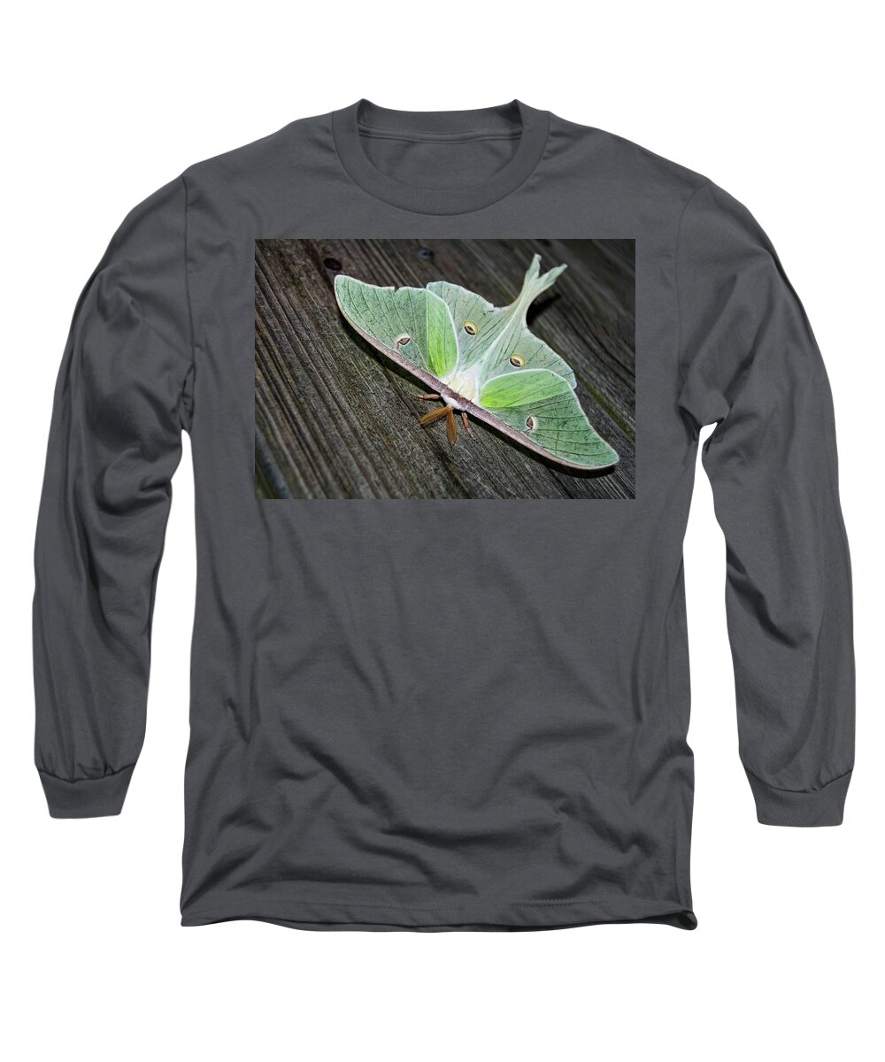 Luna Long Sleeve T-Shirt featuring the photograph Luna Moth by Amber Flowers