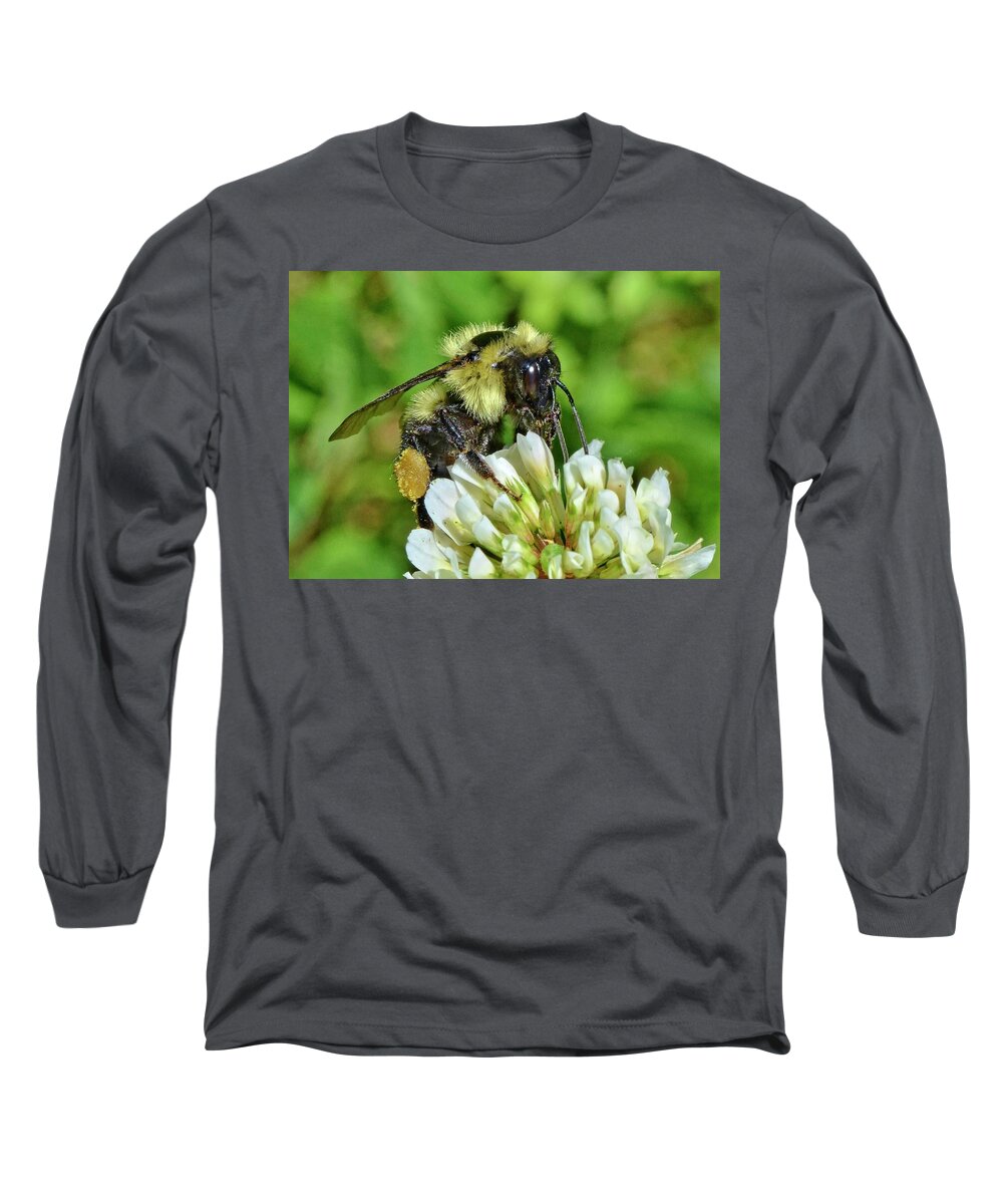 Bumblebee Long Sleeve T-Shirt featuring the photograph Lunch in the Garden by Ludwig Keck
