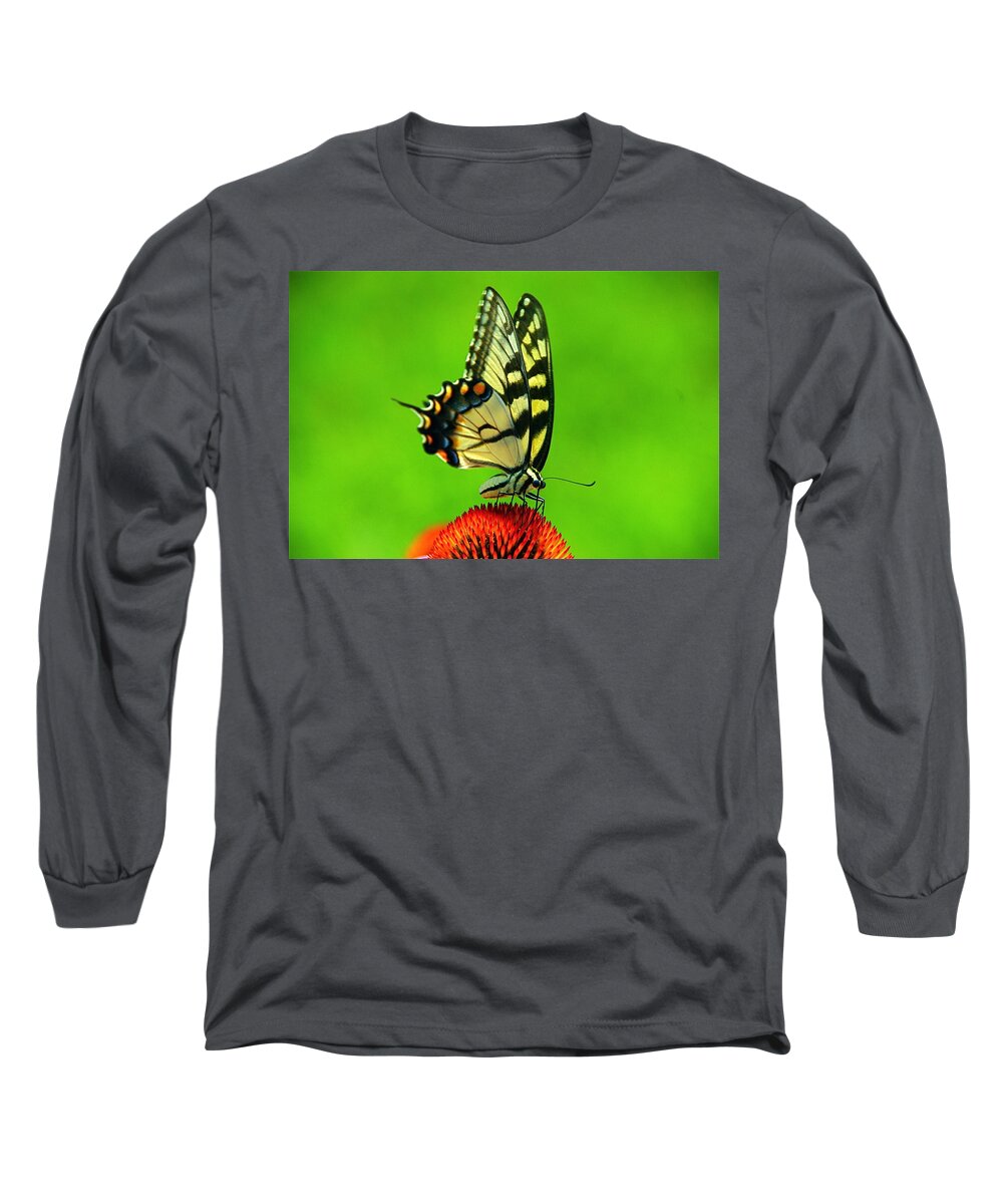 Long Sleeve T-Shirt featuring the photograph Lunchtime by Byron Varvarigos