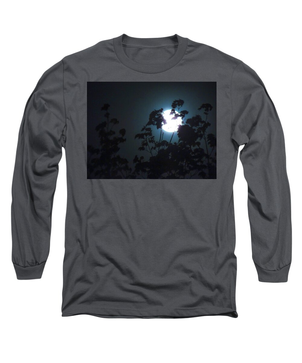 Landscapes Long Sleeve T-Shirt featuring the photograph Luner Leaves by Glenn Feron