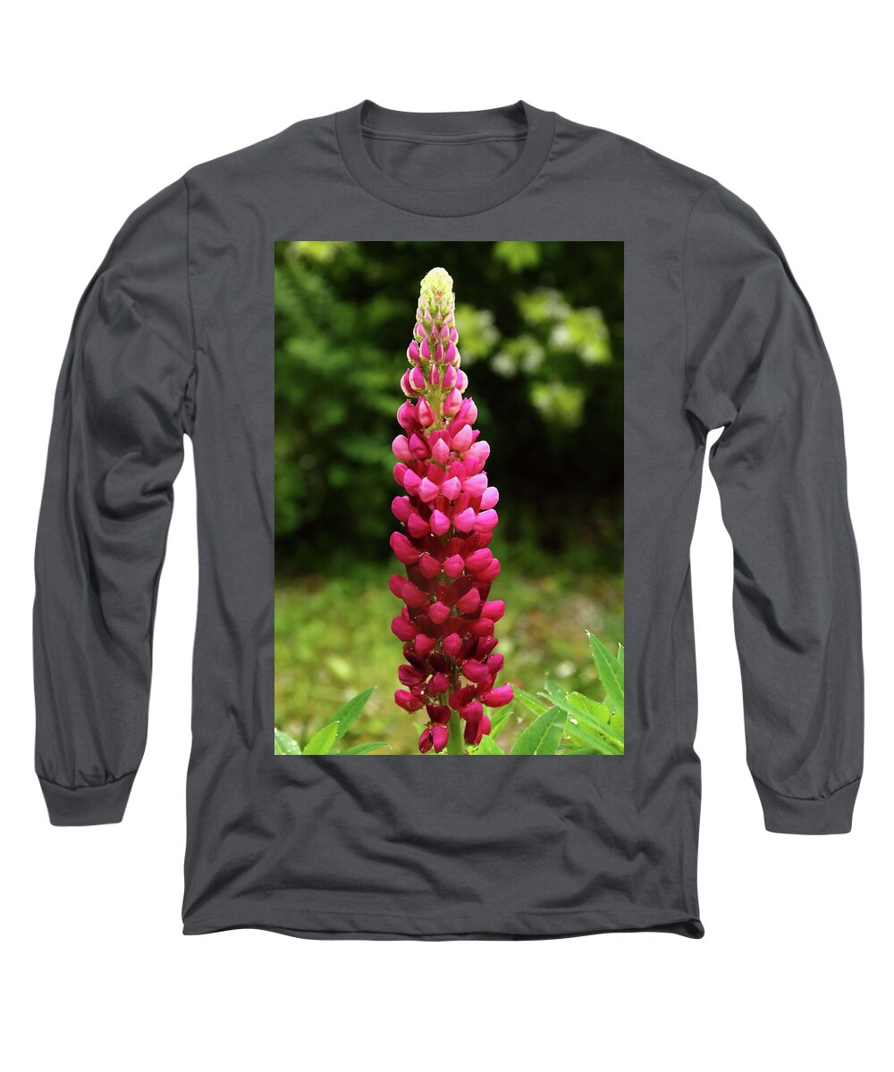 Lupin Long Sleeve T-Shirt featuring the photograph Lupin by Jeff Townsend