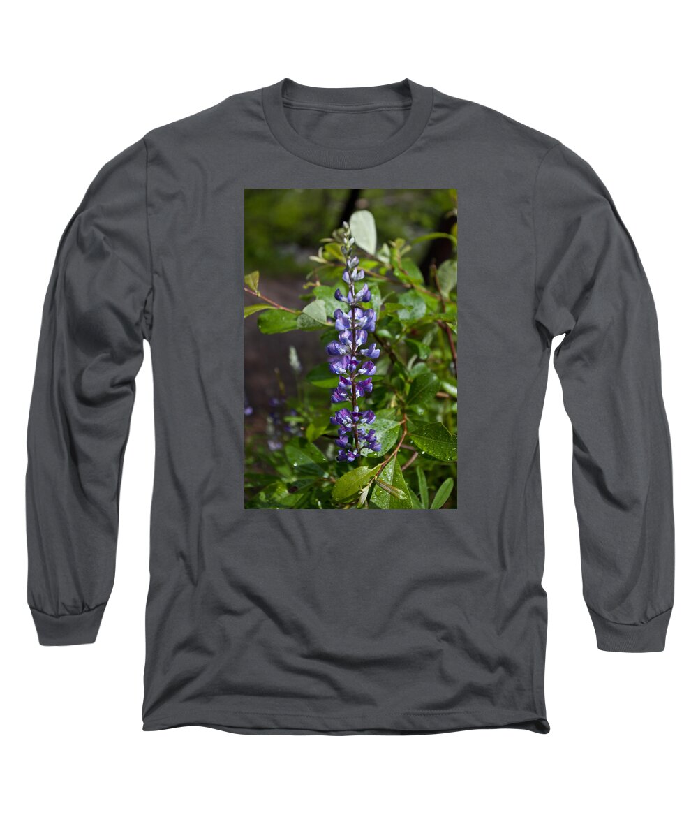 Leaf Long Sleeve T-Shirt featuring the photograph Lupine by Jedediah Hohf
