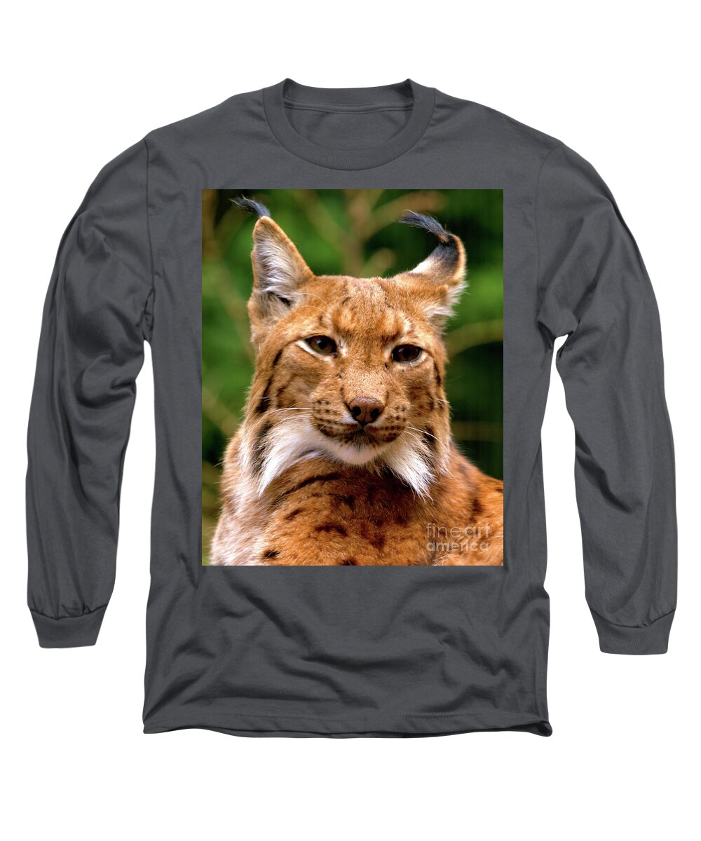 Cat Long Sleeve T-Shirt featuring the photograph Lynx Portrait by Stephen Melia