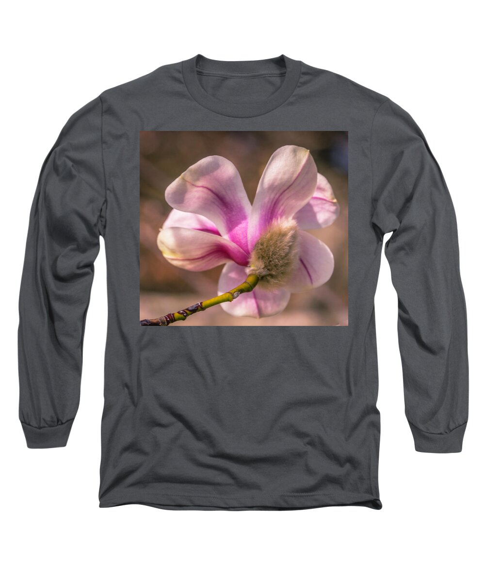 Magnolia Long Sleeve T-Shirt featuring the photograph Magnolia by Cathy Donohoue