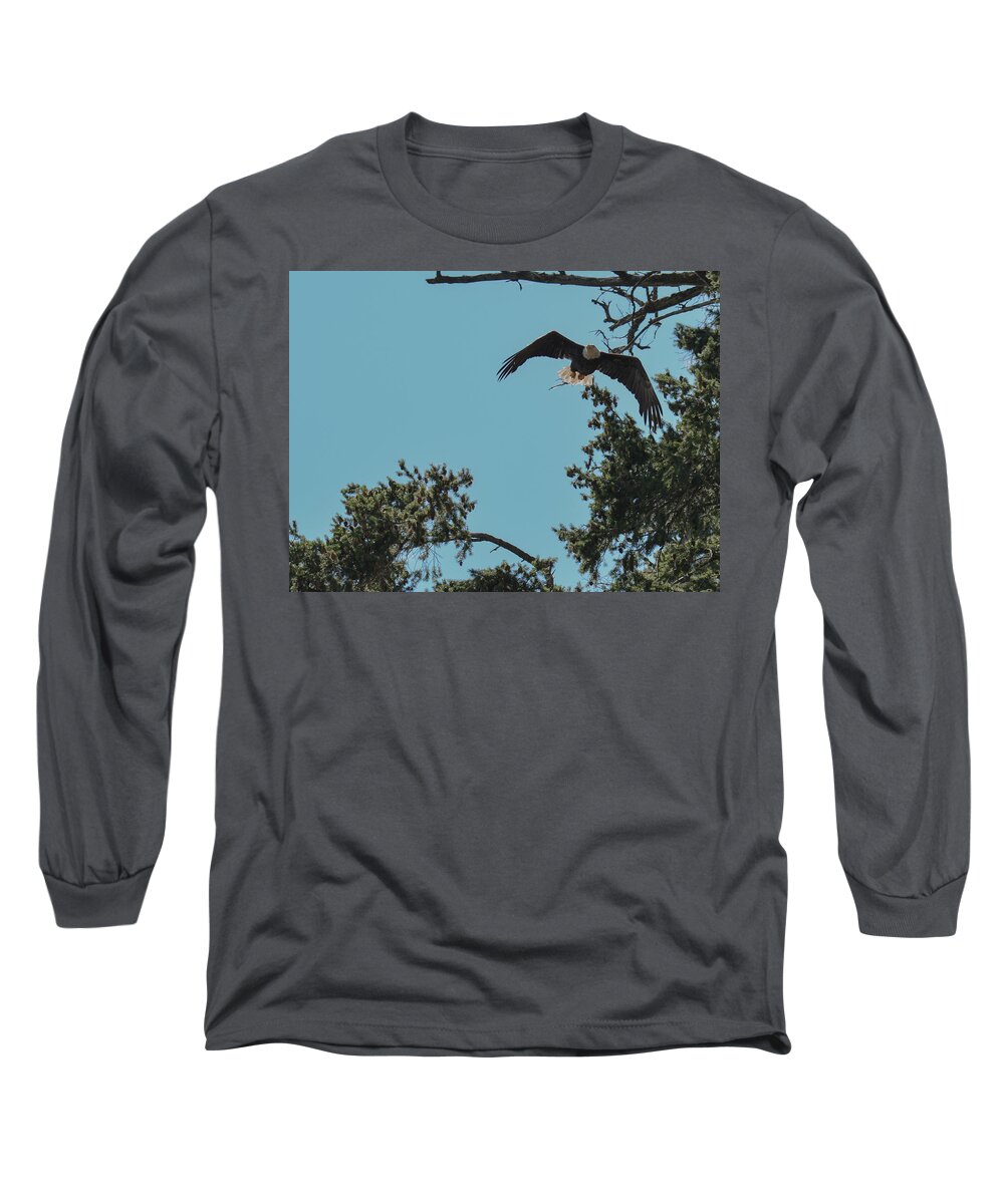 Birds Long Sleeve T-Shirt featuring the photograph Majestic Hunter by Dave Hill