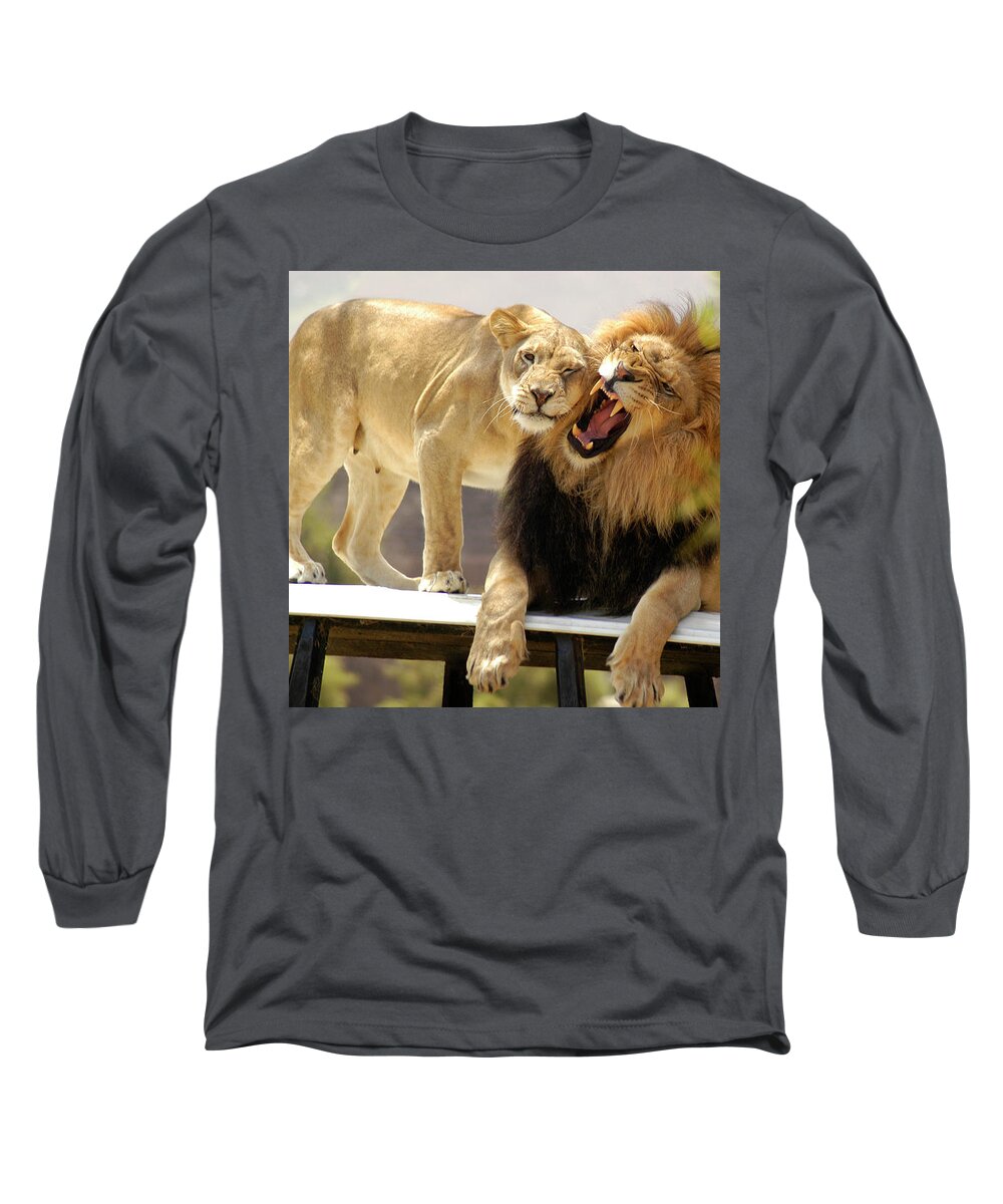 Lion Long Sleeve T-Shirt featuring the photograph Male Lion and his Lioness on their throne by Gunther Allen